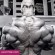 Arnold Bodybuilding Figure natural bodybuilder wallpaper videos Youm Misr SeArnold Bodybuilding Figure natural bodybuilder wallpaper videos Youm Misr SeArnold Bodybuilding Figure natural bodybuilder wallpaper videos Youm Misr See you don’t see before e
