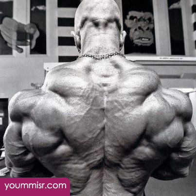 bodybuilding austria cup 2016 photos competition supplements