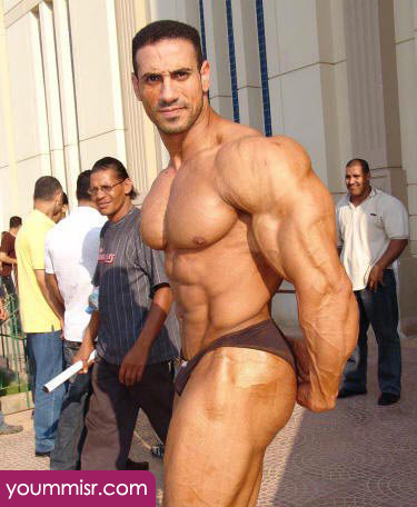 netherlands bodybuilding competition 2016 photos show