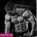 Bodybuilder workouts and best protein supplements Bodybuilding pictures Youm Misr See you don’t see before