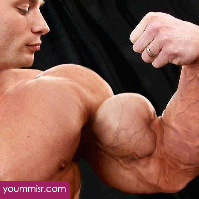 spain bodybuilding competition 2016 photos supplements