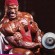 Bodybuilding food plan largest Tallest Giant bodybuilder Image Youm Misr See you don’t see before
