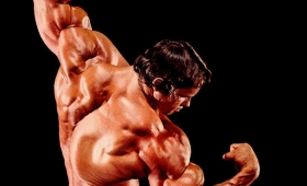 Photos Arnold Schwarzenegger bodybuilder 2015