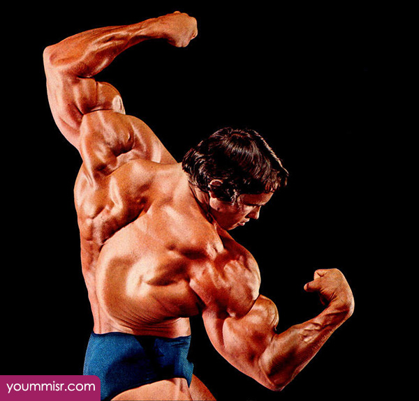 arnold schwarzenegger pictures bodybuilding 2016 images