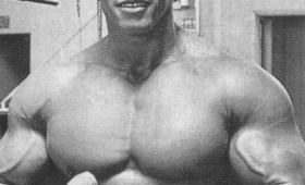 Arnold bodybuilding training youtube Mr Olympia 2015