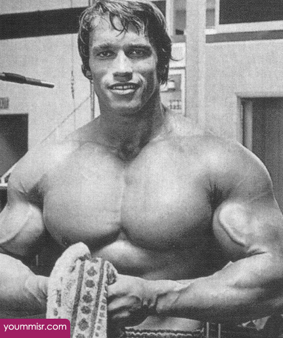 arnold schwarzenegger 2016 movies workout para president