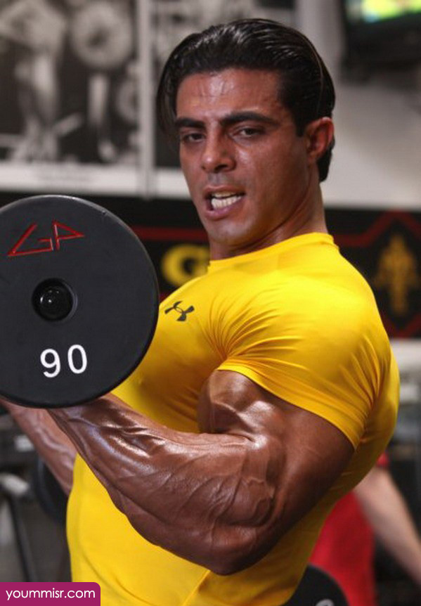 tamer el shahat bodybuilder 2016 muscle facebook