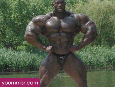 usa bodybuilder photo 2016 bodybuilding championships