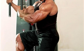 ahmed hamouda bodybuilder wiki egyptian ifbb photos 2016