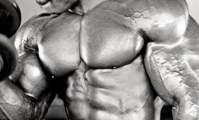 Photos Flex Wheeler Mr Olympia IFBB Bodybuilder 2015