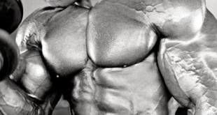 Flex Wheeler 2016 pictures Mr Olympia IFBB Bodybuilder