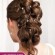 Photos Greek hairstyles and Haircuts new 2014 Best Website Hairstyles and Haircuts in the World 2014 your Guide to Hair more Attractive you misr