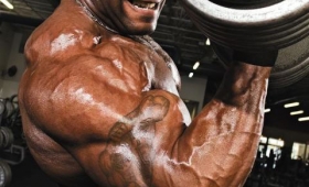 Johnnie Jackson USA Mr Olympia Bodybuilder 2015