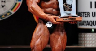 egypt bodybuilding supplements store shop 2016 facebook