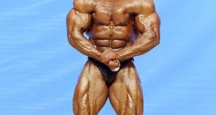 ahmed hamouda ifbb wiki 2016 egyptian arab bodybuilder