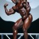 Pictures Johnnie Jackson American Bodybuilding Workout Routine Video Training Diet Plan Youm Misr See you don’t see before