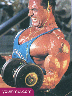 Berry DeMey bodybuilder routine wiki diet Mr. Olympia 2014 Bodybuilding Fitness Your Guide to Building Bodybuilder Photos youm misr