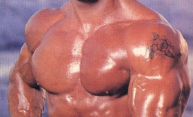 Berry DeMey bodybuilder wiki diet Mr Olympia 2015