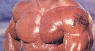 berry demey workout routine 2016 Bodybuilding Mr Olympia