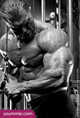 Berry DeMey steroids twitter Bodybuilding training videos 2014 Bodybuilding Fitness Your Guide to Building Muscle Supplements Bodybuilder Photos youm misr