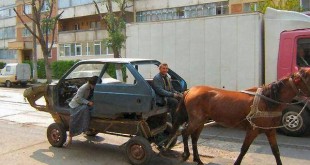 Funny photo scavenger hunt ideas 2014 latest funny photos 2014 youm misr