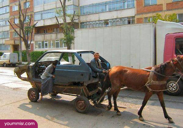 Funny photo scavenger hunt ideas 2014 latest funny photos 2014 youm misr