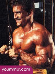 Lee Labrada steroids twitter Bodybuilding training videos 2014 Bodybuilding Fitness Your Guide to Building Muscle Supplements Bodybuilder Photos youm misr