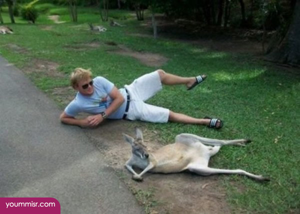New joNew jokes very funny 2014 photo fanny 2014 youm misr