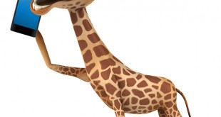 Photos 3D Animals Naughty Sweet Boy 2014 best website baby & children Care 2014 children Cute Baby Pictures Funny Net youm misr