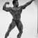 Photos Chris Dickerson bodybuilder wiki Mr. Olympia 2014 Bodybuilding Fitness Your Guide to Building Muscle Supplements Bodybuilder Photos youm misr
