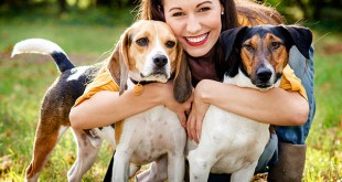 Photos nicest dogs in the World 2014 Good dogs pictures 2014 youm misr