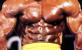 Shawn Ray diet bio bodybuilder Mr. Olympia 2015