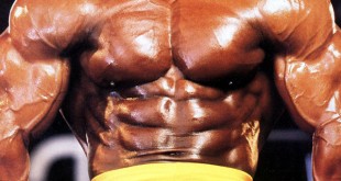 Shawn Ray 2016 age pictures bodybuilder net worth