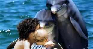 Strange images 2014 Photos strange real 2014 youm misr