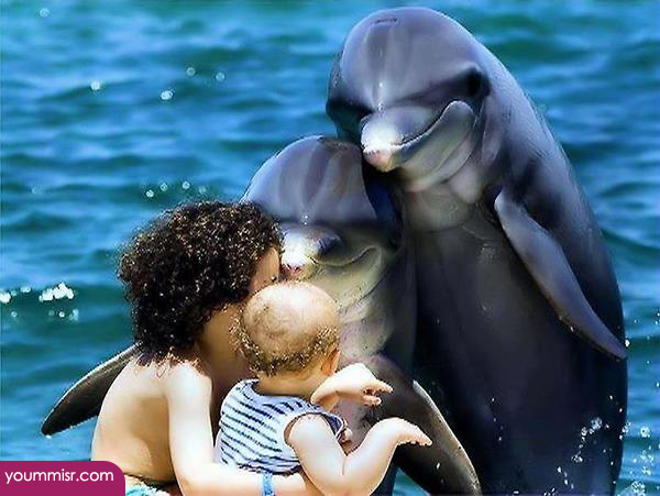 Strange images 2014 Photos strange real 2014 youm misr