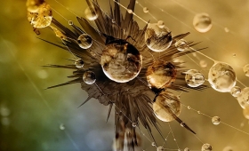 Free background photos 2015 Arsenal wallpaper 2016