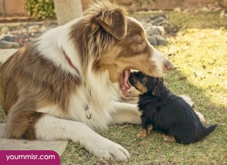 Funny photo editor online free 2015 2016 jokes