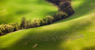 Web page background images 2015 wallpaper 2016