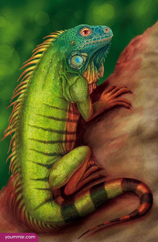 Blue iguana lizards dinosaur in Germany 2015