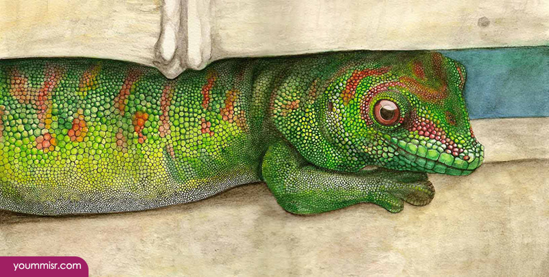 Blue iguana lizards dinosaur in Germany 2015