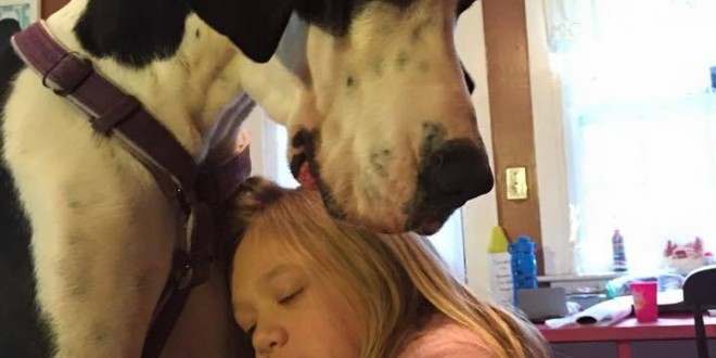 Funny Pictures dogs are very rare huge beautiful 2015