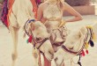 Photos fashion show with camel in El Gouna Hurghada