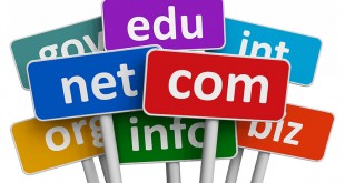 how to choose domain name site Internet marketing