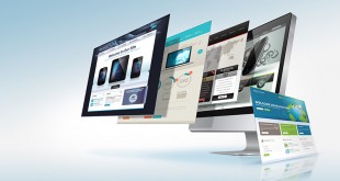 Training in programming web design companies in Egypt