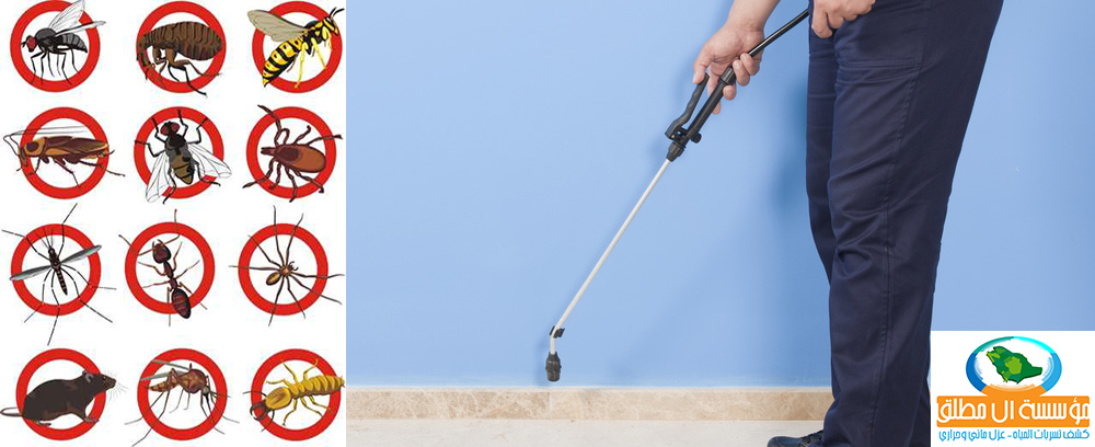 Best anti-insect termite pesticide company in Riyadh