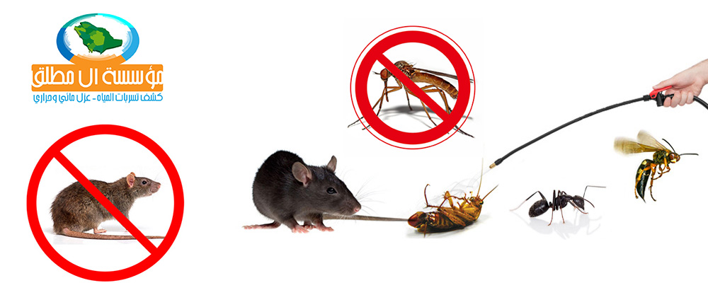 Exterminate insects and rodents and ways to combat