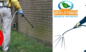 Get rid of the insect Licorice of pesticides sprayed in Riyadh