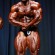 Branch Warren Facebook American IFBB professional bodybuilder 2014Bodybuilding Fitness Your Guide to Building Muscle Supplements Bodybuilder Photos youm misr