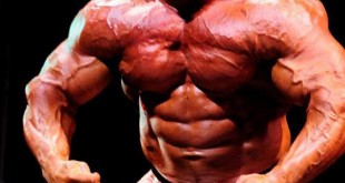 branch warren workout routine 2016 daily training program