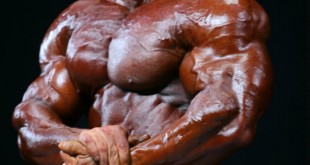 branch warren ifbb 2016 images instagram imdb interview
